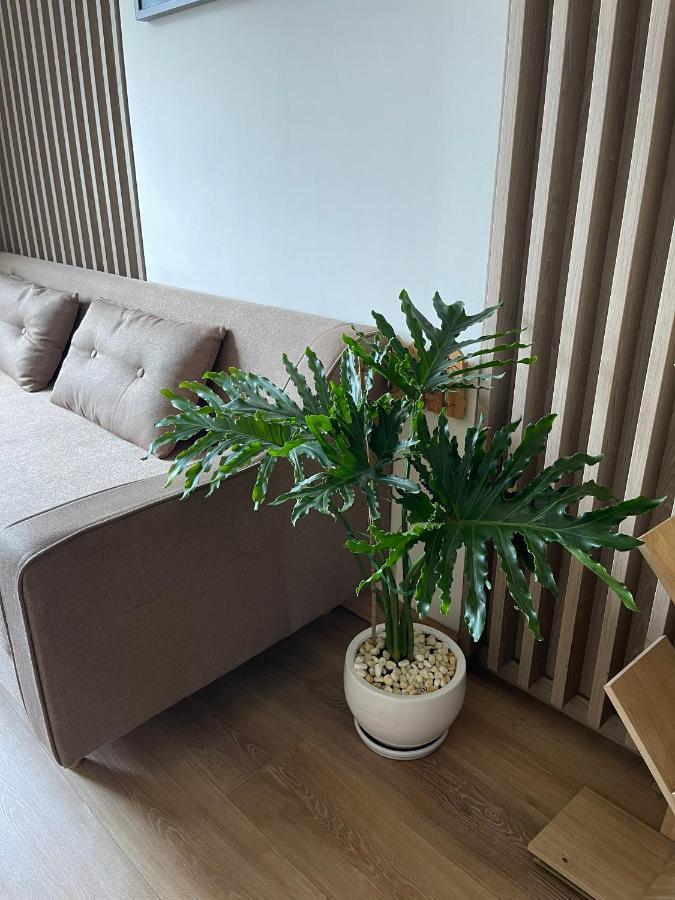 ホーチミン市 Can Ho Sky9 Day Du Tien Ich 2 Phong Ngu - Lien Phuong Quan 9 Bed & Breakfast エクステリア 写真